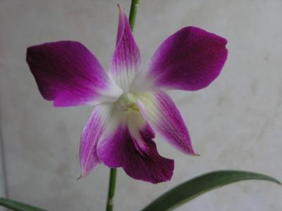PC310171b.jpg