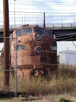 Pb030035.jpg