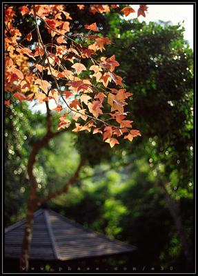 Tai Tam Country Park - 大潭郊野公園