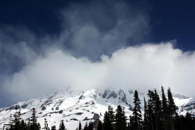 Mt. Rainier