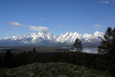 Tetons from Signal Mountain