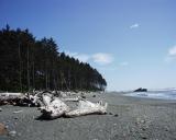 Ruby Beach - Olympic NP