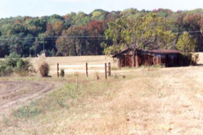 A beautiful shed behind our property