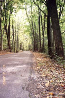 Our new road - a Virginia Scenic Byway