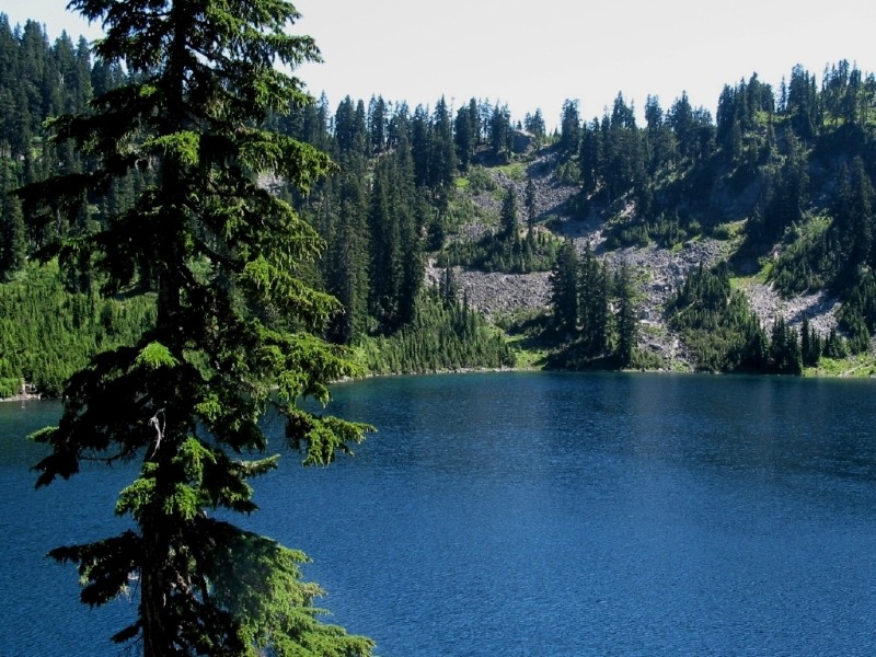 Looking Back Towards Pass