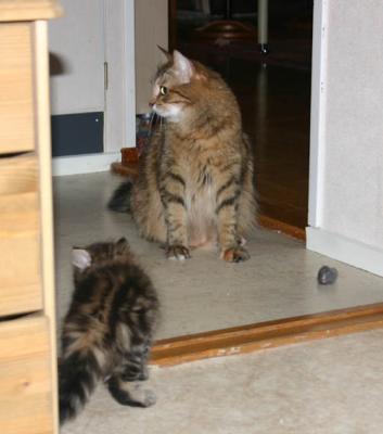 Nikopejas Cilka - proud Mom