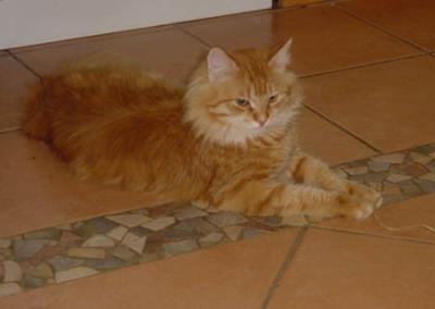 Sphinx.jpg