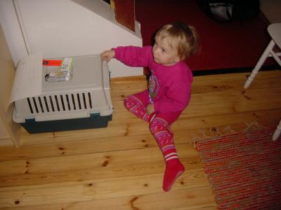 u11/evagun/medium/7299153.Anninnaboxi.jpg