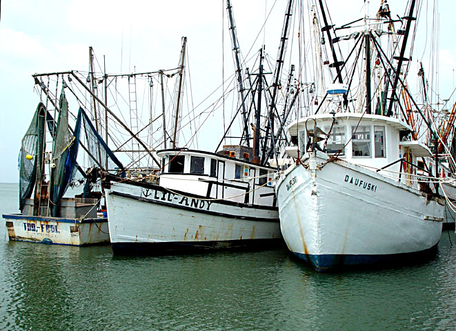 Shrimp Boats