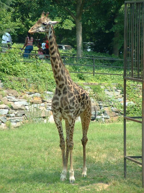 06-24-2002  52.JPG
