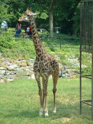 06-24-2002  52.JPG