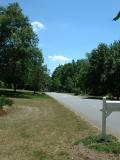 Street in Drought