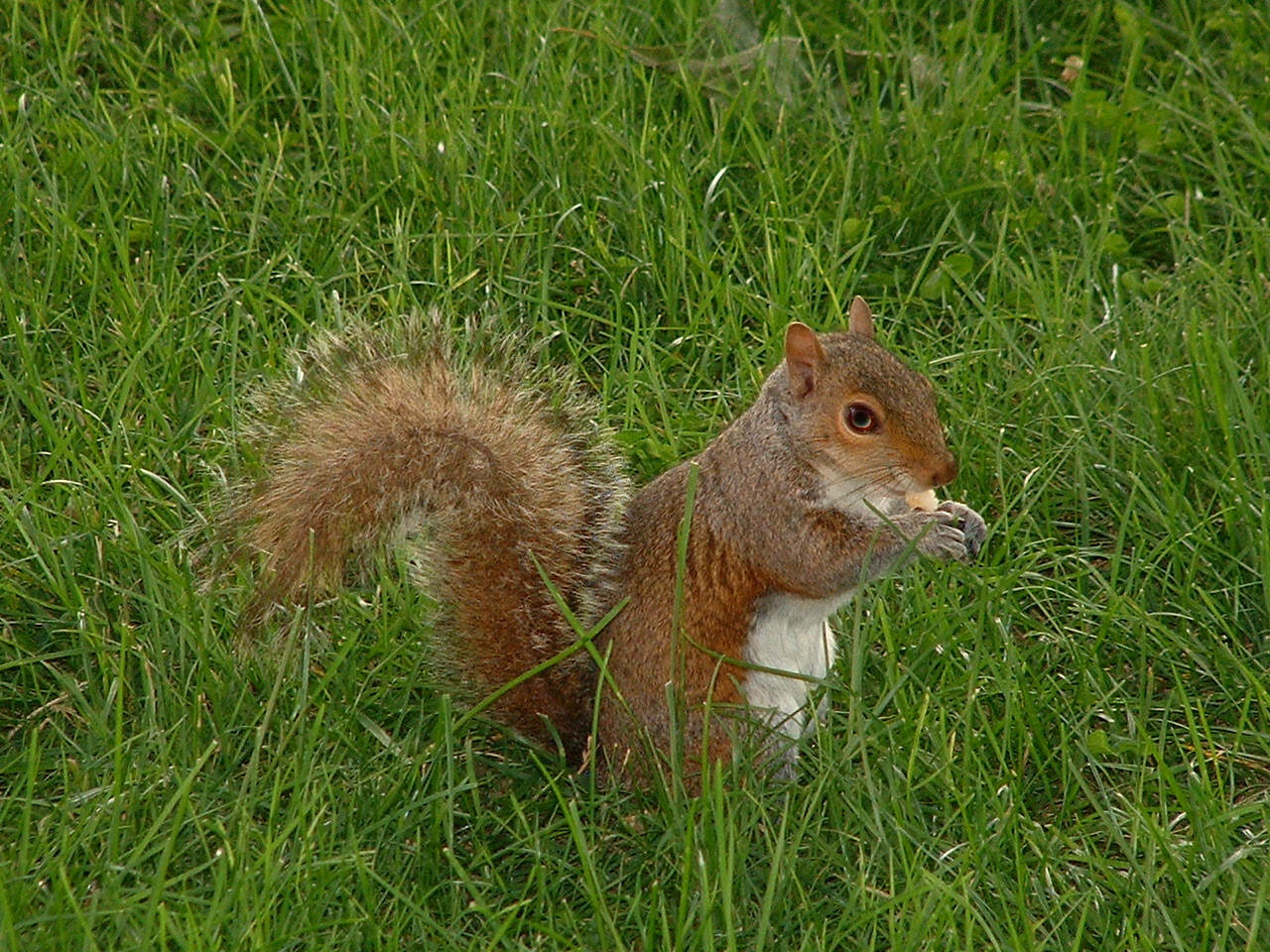 06-23-2002  16.JPG
