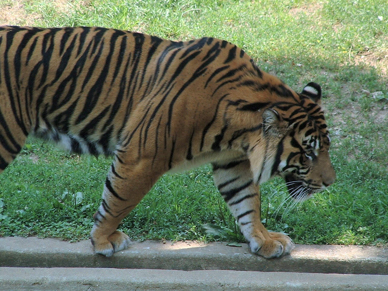 06-24-2002  85.JPG