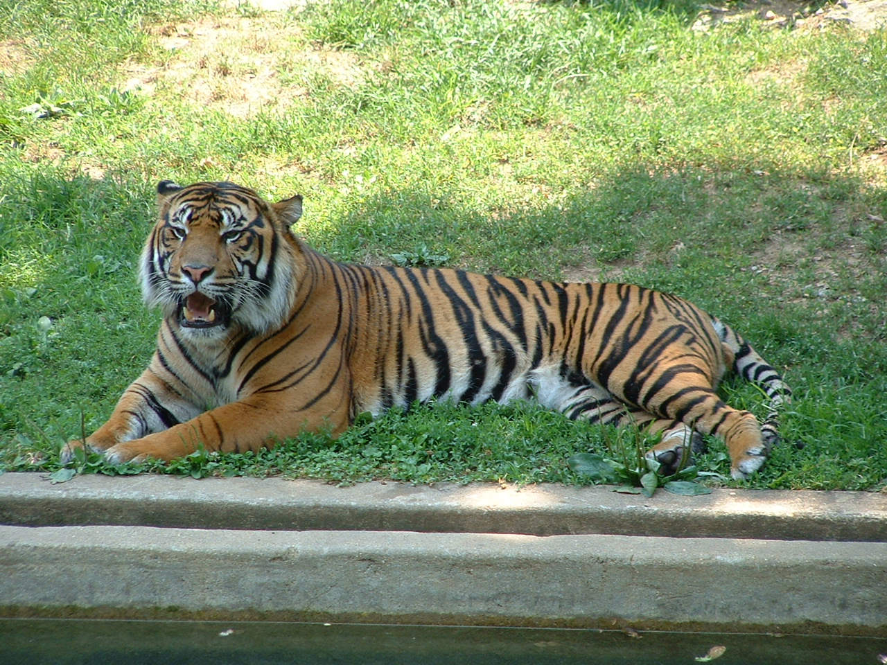 06-24-2002  97.JPG