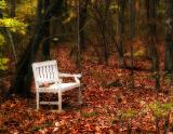 White Bench