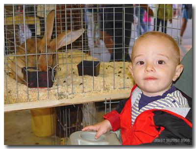 Ian at the fair posing with a bunny