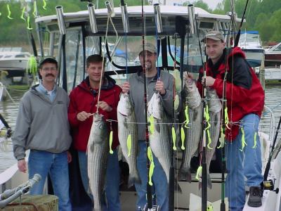 4/29/2005 Dan Ryan Builders /Lyburn Charter with limit of nice Stripers 32 to 40