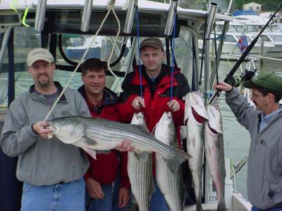 4/29/2005 Dan Ryan Builders / Lyburn Charter - 32 to 40 Striper Limit