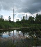 Narbeck Wetlands