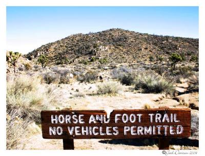 Joshua Tree NPCovington Loop