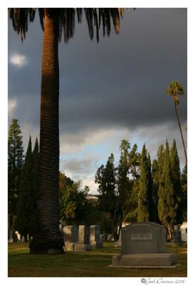 LA: Hollywood Cemetery