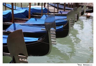 Venice:   Click here for my Venice Gallery 