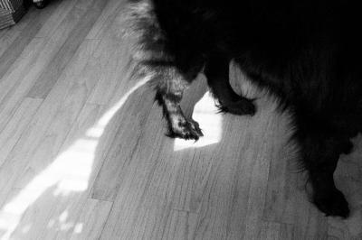 april_2005