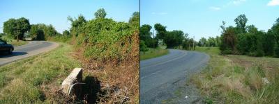 Before and After