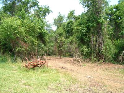 Opened up access to pasture