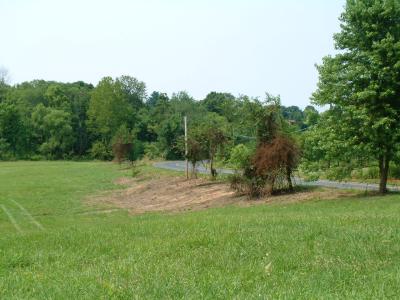 2002-06-111.JPG
