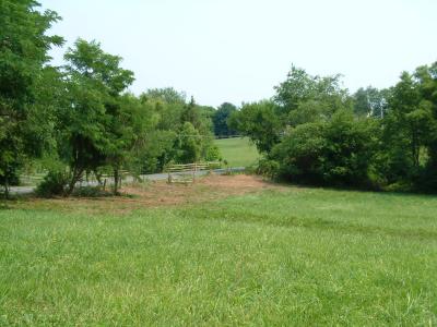 2002-06-112.JPG