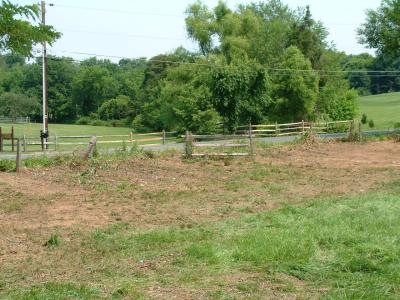 2002-06-114.JPG