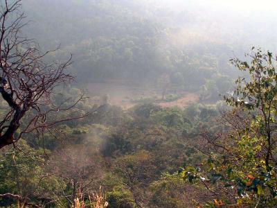 Valley of Light