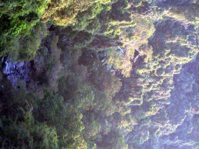 Ent Hill