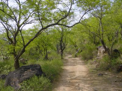 35) The Road to Eternity.jpg