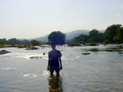 u11/gautamraja/medium/42853022.46LikeBuddhaandtheBodhiTree.jpg