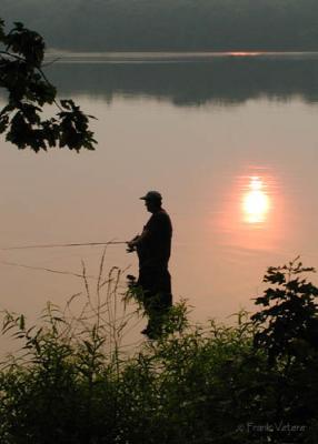 Evening solitude