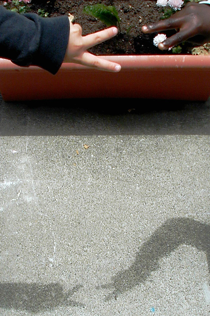 What Color Is YOUR Shadow? (v4)