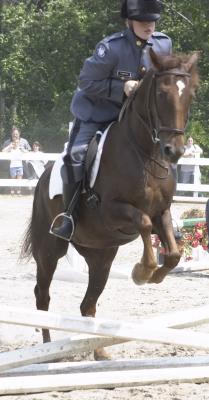 A Day At The Horse Show