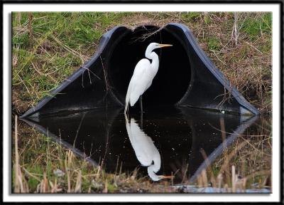 A Culvert Operation