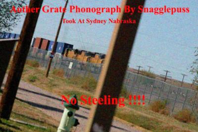 Snagglepuss At Sydney, Kneebraska