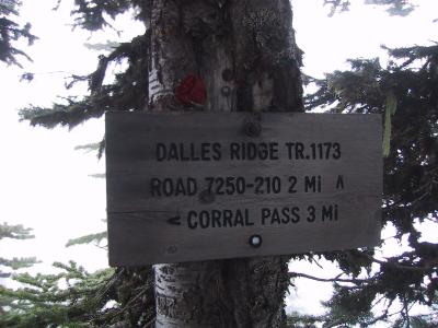 Our turnaround point - three miles from Corral Pass