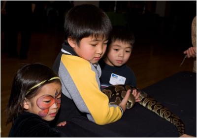 Kids  and the Snake