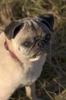 CRW_0909.jpg