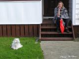 Coming-home