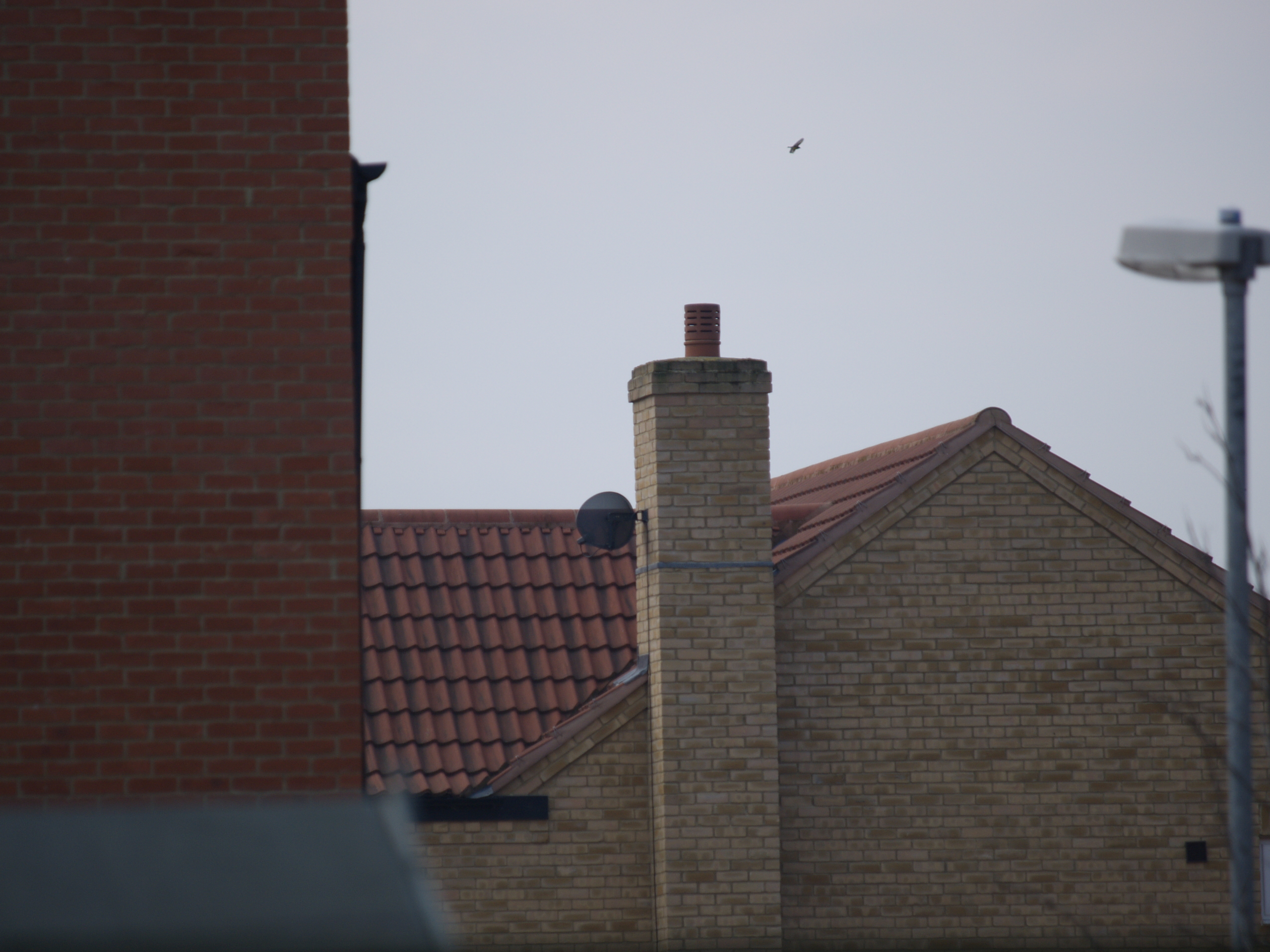 E-1 + 50-200mm at full tele