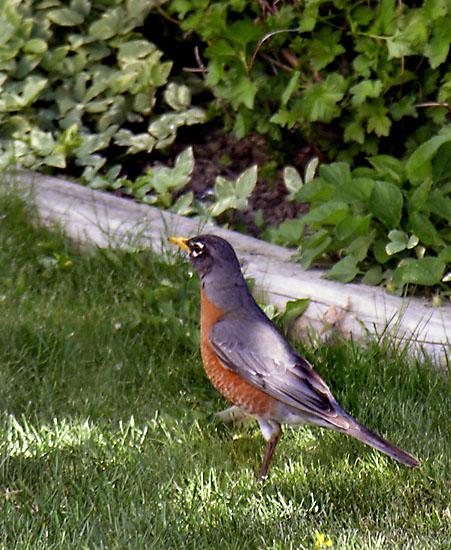 DSCN8964.jpg