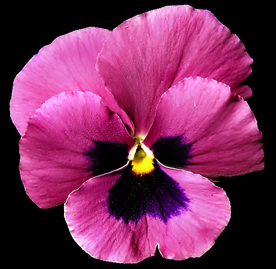 DSCN9038.jpg