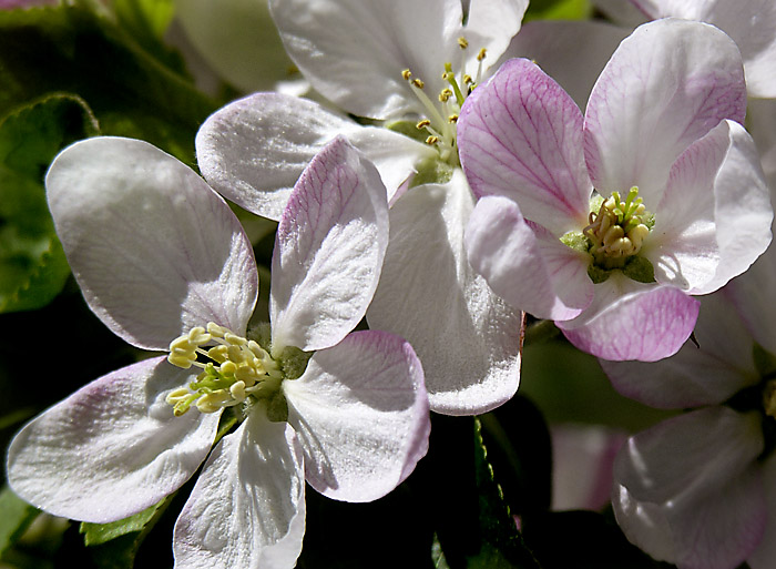 DSCN9059.jpg